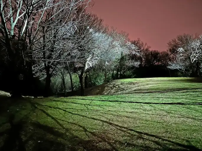 Landscape lighting in Argyle, Texas by TC Lighting &mdash; photograph 2