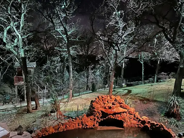 Landscape lighting in Corinth, Texas by TC Lighting &mdash; photograph 4