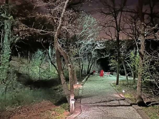 Landscape lighting in Corinth, Texas by TC Lighting &mdash; photograph 6