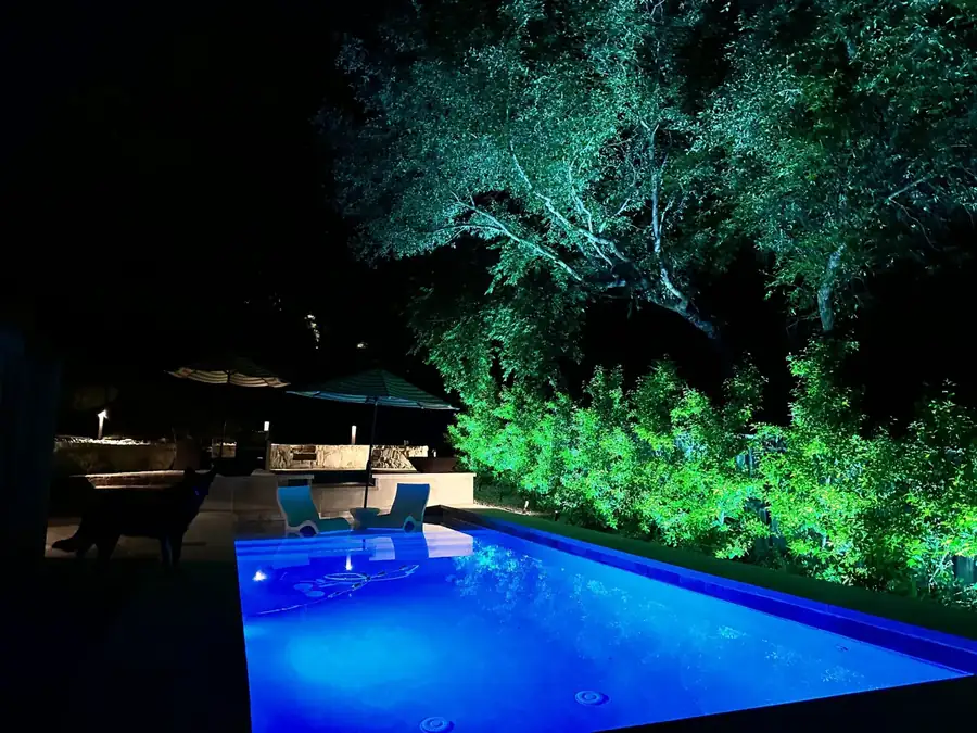 Lit swimming pool in Fort Worth, Texas glowing blue beneath an uplit oak canopy and green shrub border