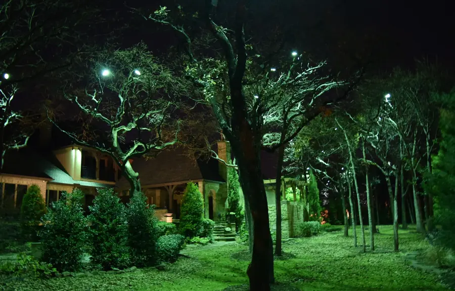 Downlight fixtures mounted high in a mature oak canopy casting moonlight-style shadows across a lawn and stone path
