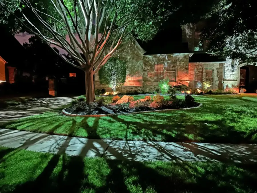 Crepe myrtle uplit against brick in Preston Hollow, Dallas, throwing branch shadows across the lawn and walkway