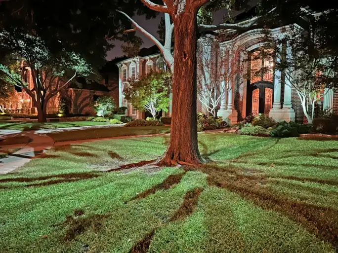Landscape lighting in Preston Hollow, Dallas by TC Lighting &mdash; photograph 19
